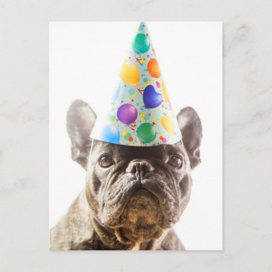 French Bulldog mit Party Hat Postkarte (Vorderseite)