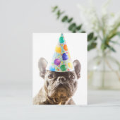 French Bulldog mit Party Hat Postkarte (Stehend Vorderseite)