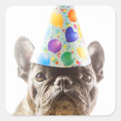 French Bulldog mit Party Hat Quadratischer Aufkleber (Vorderseite)