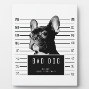 French Bulldog Mugshot Shirt Fotoplatte