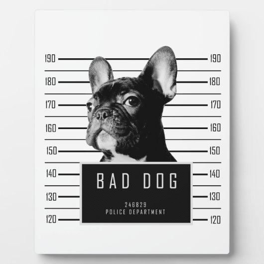 French Bulldog Mugshot Shirt Fotoplatte (Vorderseite)