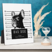 French Bulldog Mugshot Shirt Fotoplatte (Seite)