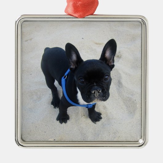 French Bulldog Ornament Personalisiert Aus Metall (Vorne)