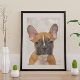 French Bulldog Poster