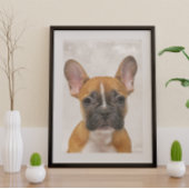 French Bulldog Poster