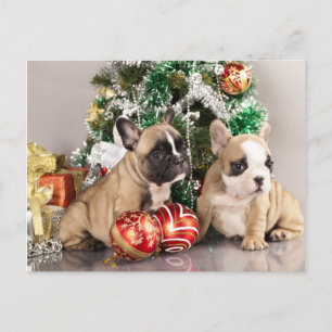 French Bulldog Puppy and Christmas Ohrts Feiertagspostkarte