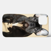 French Bulldog Puppy Case-Mate iPhone Hülle (Rückseite (Horizontal))
