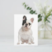 French Bulldog Puppy Dog Post Card Postkarte (Stehend Vorderseite)