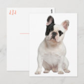 French Bulldog Puppy Dog Post Card Postkarte (Vorne/Hinten)