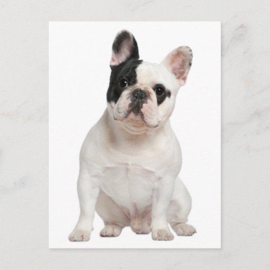 French Bulldog Puppy Dog Post Card Postkarte (Vorderseite)