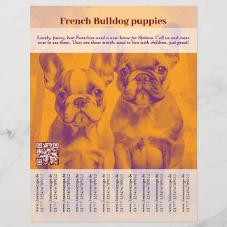 French Bulldog Puppy Flyer