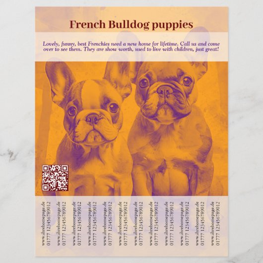 French Bulldog Puppy Flyer (Vorne)