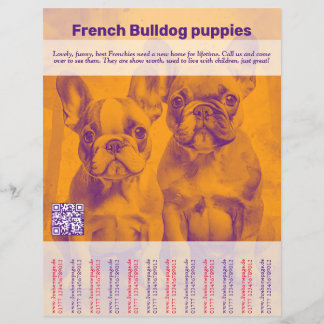 French Bulldog Puppy Flyer
