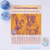French Bulldog Puppy Flyer (Einzeln)