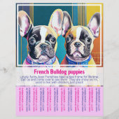 French Bulldog Puppy Flyer (Vorne)