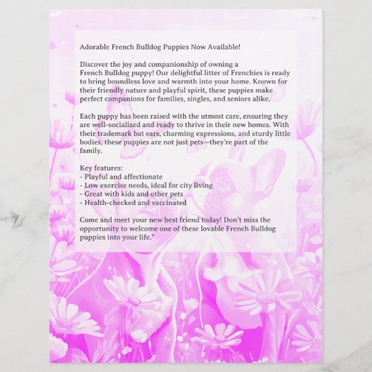 French Bulldog Puppy Flyer (Hinten)
