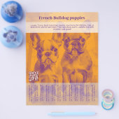 French Bulldog Puppy Flyer (Einzeln)