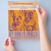 French Bulldog Puppy Flyer (Hand)