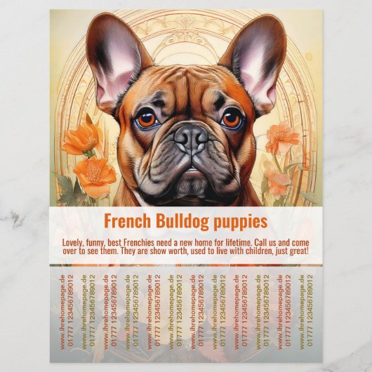 French Bulldog Puppy Flyer (Vorne)