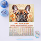 French Bulldog Puppy Flyer (Einzeln)