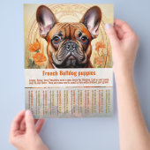 French Bulldog Puppy Flyer (Hand)
