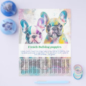 French Bulldog Puppy Flyer (Einzeln)