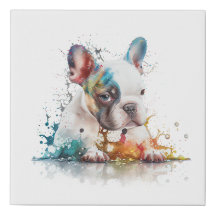 French Bulldog Puppy Frenchie