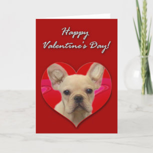 French Bulldog puppy  Valentines Day Card Feiertagskarte