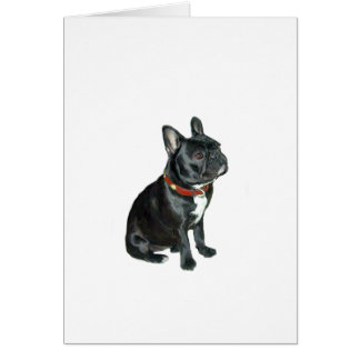 French Bulldog - Schwarz mit rotem Kragen