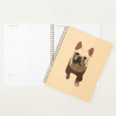 French Bulldog, Soft Peach Planer (Anzeige)