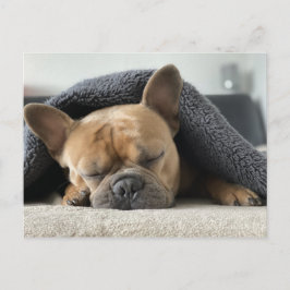 French Bulldog Sound Asleep Postkarte