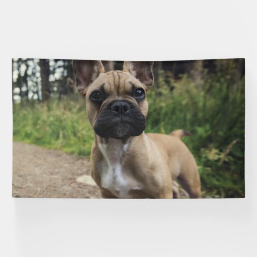 French Bulldog Throw Pillow Banner (Horizontal)