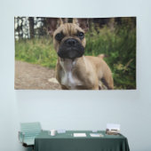 French Bulldog Throw Pillow Banner (Messe)