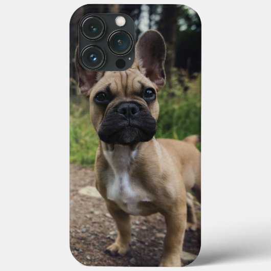 French Bulldog Throw Pillow Case-Mate iPhone Hülle (Rückseite)