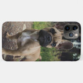 French Bulldog Throw Pillow Case-Mate iPhone Hülle (Rückseite (Horizontal))