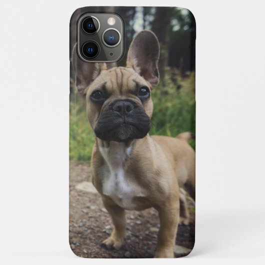 French Bulldog Throw Pillow Case-Mate iPhone Hülle (Rückseite)