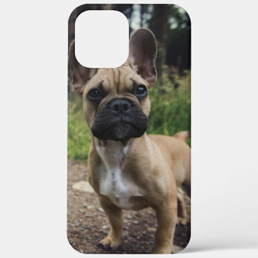 French Bulldog Throw Pillow Case-Mate iPhone Hülle (Rückseite)