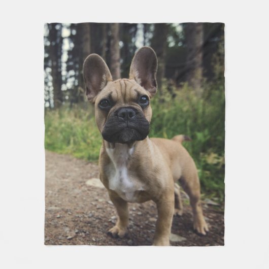 French Bulldog Throw Pillow Fleecedecke (Vorderseite)