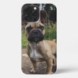 French Bulldog Throw Pillow iPhone 13 Pro Max Hülle