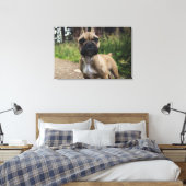 French Bulldog Throw Pillow Leinwanddruck (Insitu (Schlafzimmer))