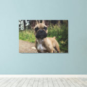 French Bulldog Throw Pillow Leinwanddruck (Insitu (Holzboden))