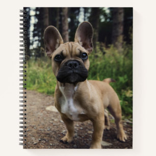 French Bulldog Throw Pillow Notizblock