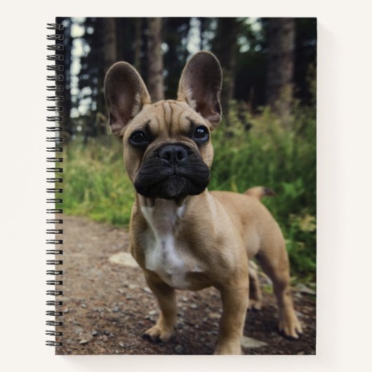 French Bulldog Throw Pillow Notizblock (Vorderseite)