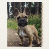 French Bulldog Throw Pillow Planer (Rückseite)