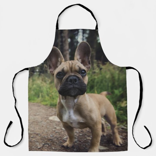 French Bulldog Throw Pillow Schürze (Vorderseite)