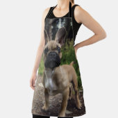 French Bulldog Throw Pillow Schürze (InSitu)