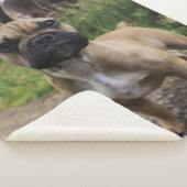 French Bulldog Throw Pillow Sherpadecke (3/4)