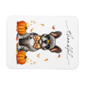 French Bulldog Tolles Herbstlaubs Pumpkins Magnet (Horizontal)