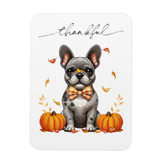 French Bulldog Tolles Herbstlaubs Pumpkins Magnet