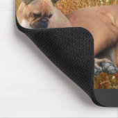 French Bulldog und Mastiff Freunde Mousepad (Ecke)